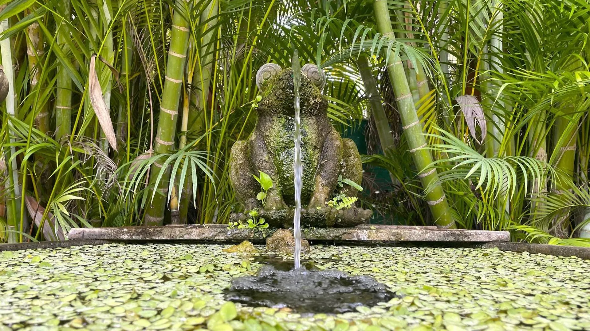 Villa Ocean Lodge Saint Anne Guadeloupe Sainte-Anne